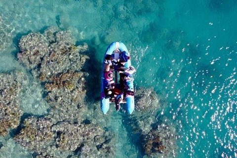 Glass-bottom Boat Tour With Whitehaven Beach - Accommodation ACT 0