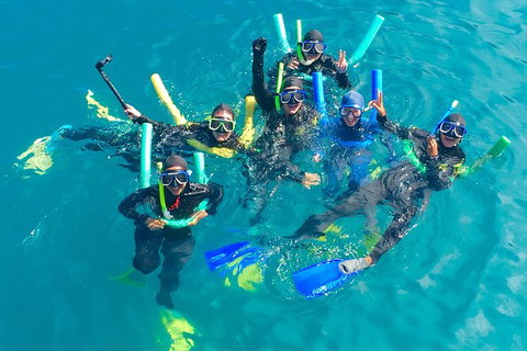 Glass-bottom Boat Tour With Whitehaven Beach - Accommodation ACT 1