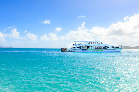 Whitehaven Beach And Daydream Island Cruise - Accommodation ACT 3