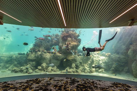 Whitehaven Beach And Daydream Island Cruise - Accommodation ACT 6