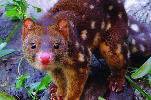 Hartley\'s Crocodile Adventures General Entry Ticket - Accommodation ACT 9