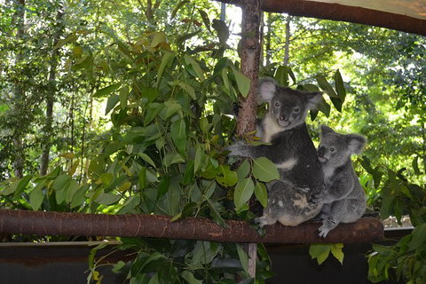 Hartley\'s Crocodile Adventures General Entry Ticket - Accommodation ACT 8