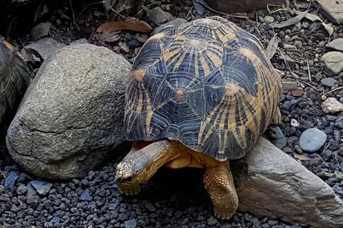 Hartley\'s Crocodile Adventures General Entry Ticket - Accommodation ACT 3