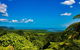 Cape Tribulation Day Tour - thumb 0