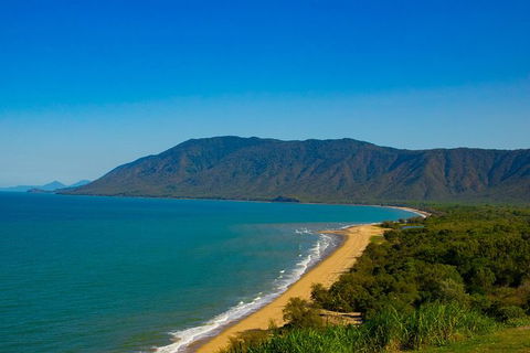 Cape Tribulation Day Tour - Accommodation ACT 4