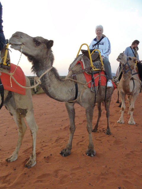 Uluru Small-Group Tour By Camel At Sunrise Or Sunset - Accommodation ACT 2