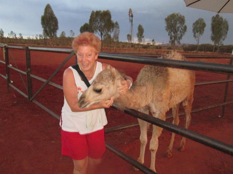 Uluru Small-Group Tour By Camel At Sunrise Or Sunset - Accommodation ACT 18