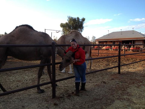 Uluru Small-Group Tour By Camel At Sunrise Or Sunset - Accommodation ACT 21