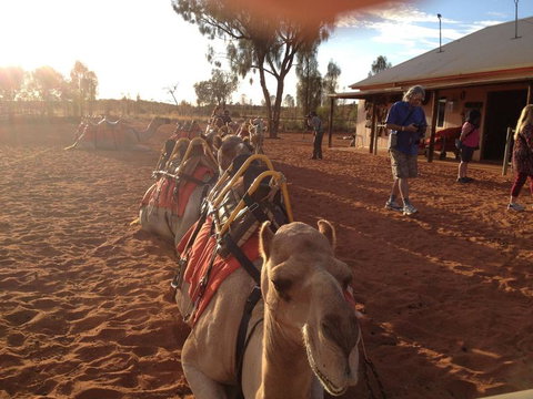 Uluru Small-Group Tour By Camel At Sunrise Or Sunset - Accommodation ACT 22