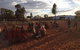 Uluru Small-Group Tour By Camel At Sunrise Or Sunset - thumb 23
