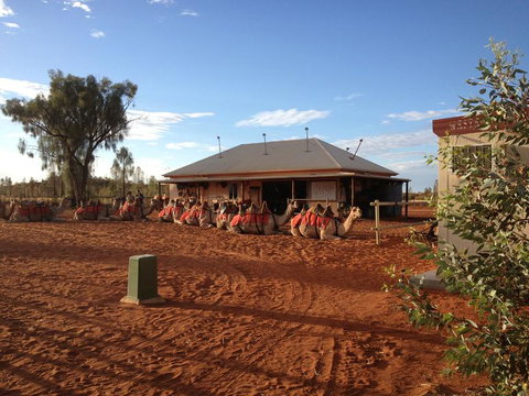 Uluru Small-Group Tour By Camel At Sunrise Or Sunset - Accommodation ACT 20