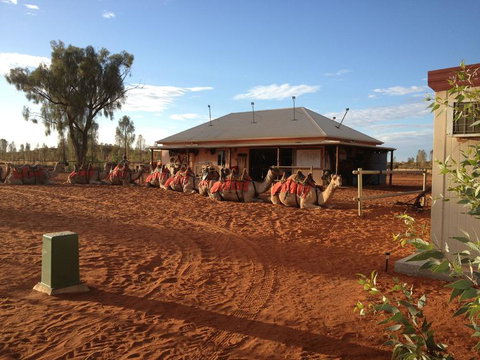 Uluru Small-Group Tour By Camel At Sunrise Or Sunset - Accommodation ACT 19