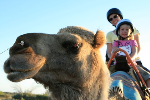 Uluru Small-Group Tour By Camel At Sunrise Or Sunset - Accommodation ACT 3