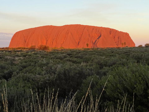 Uluru (Ayers Rock) Sunset With Outback Barbecue Dinner And Star Tour - Accommodation ACT 5