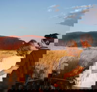 Uluru Ayers Rock Sunset with Outback Barbecue Dinner and Star Tour - Accommodation ACT