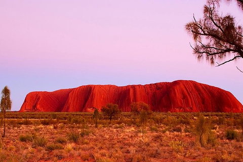 Uluru Small Group Tour Including Sunset - Accommodation ACT 1