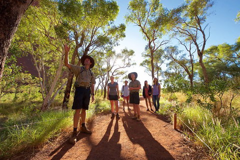 Uluru Small Group Tour Including Sunset - Accommodation ACT 5