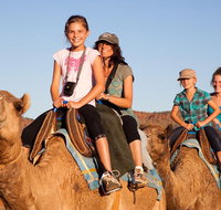 Alice Springs Camel Tour - Accommodation ACT