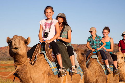 Alice Springs Camel Tour - Accommodation ACT 0