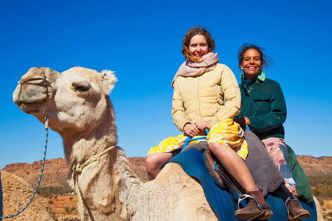 Alice Springs Camel Tour - Accommodation ACT 8