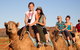 Alice Springs Camel Tour - thumb 1