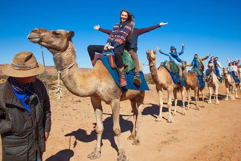 Alice Springs Camel Tour - Accommodation ACT 7