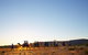 Alice Springs Camel Tour - thumb 9