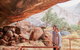 Uluru Base And Sunset Half-Day Trip With Optional Outback BBQ Dinner - thumb 0
