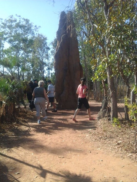 Litchfield National Park Day Tour From Darwin - Accommodation ACT 14