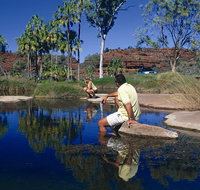 Palm Valley 4WD Tour - Accommodation ACT