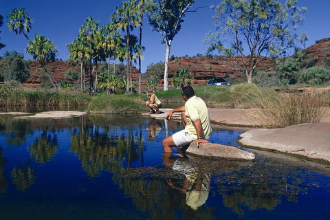 Palm Valley 4WD Tour - Accommodation ACT 0