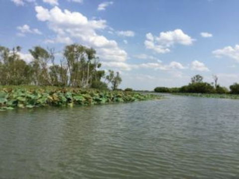 1 Day Corroboree Billabong Wetland Experience Including 2.5 Hour Cruise + Lunch - Accommodation ACT 4