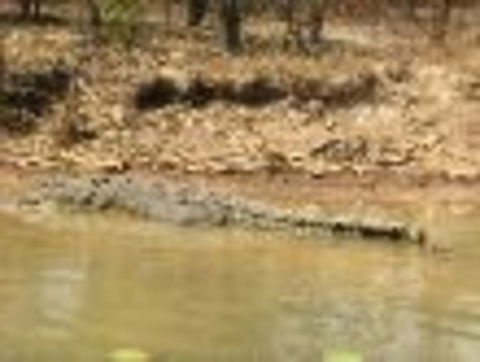1 Day Corroboree Billabong Wetland Experience Including 2.5 Hour Cruise + Lunch - Accommodation ACT 6