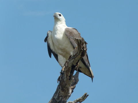 1 Day Corroboree Billabong Wetland Experience Including 2.5 Hour Cruise + Lunch - Accommodation ACT 2