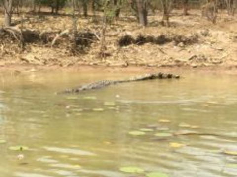 1 Day Corroboree Billabong Wetland Experience Including 2.5 Hour Cruise + Lunch - Accommodation ACT 5