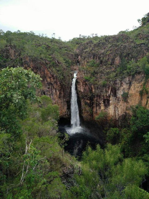 Small-Group Litchfield National Park Day Trip From Darwin - Accommodation ACT 5