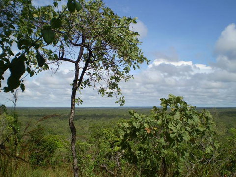 Small-Group Litchfield National Park Day Trip From Darwin - Accommodation ACT 8