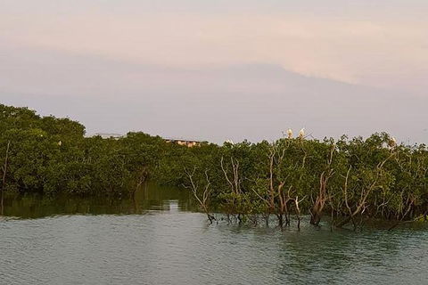 1-Hour Darwin Harbour Highlights Cruise - Accommodation ACT 7