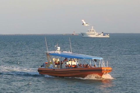 1-Hour Darwin Harbour Highlights Cruise - Accommodation ACT 2