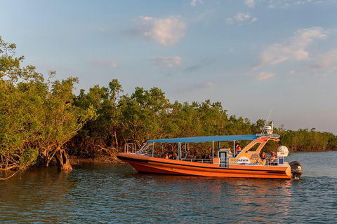1-Hour Darwin Harbour Highlights Cruise - Accommodation ACT 3