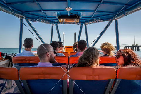 1-Hour Darwin Harbour Highlights Cruise - Accommodation ACT 6