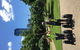 Darwin Shore Excursion: Hop-on Hop-off Bus Tour - thumb 2