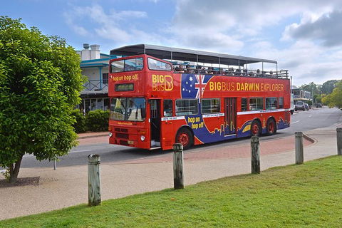 Darwin Shore Excursion: Hop-on Hop-off Bus Tour - Accommodation ACT 0