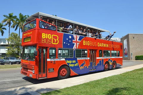 Darwin Shore Excursion: Hop-on Hop-off Bus Tour - Accommodation ACT 12