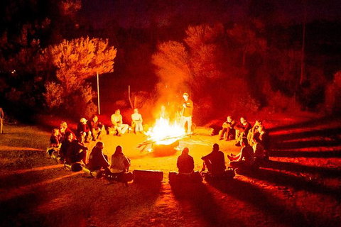 4-Day Red Centre Camping Safari From Alice Springs Or Ayers Rock Including Kings Canyon - Accommodation ACT 0