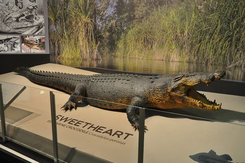 Explore Darwin City Sights Including Key Attractions - Accommodation ACT 7