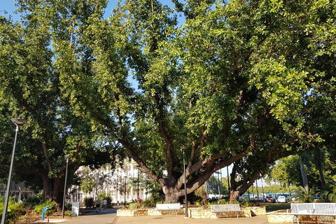 Darwin Heritage Walk - Accommodation ACT 4