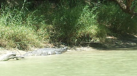 3-Day Kakadu National Park And Waterfalls Tour From Darwin - Accommodation ACT 2