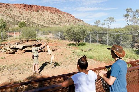Alice Springs Desert Park General Entry Ticket - Accommodation ACT 9