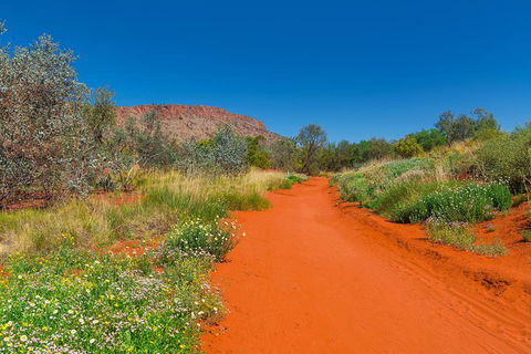 Alice Springs Desert Park General Entry Ticket - Accommodation ACT 7